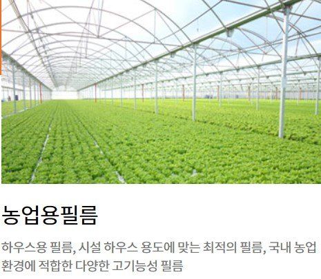 한농농약종묘사님의 장터 판매 상품 [비닐하우스비닐 0.1mm 삼중장수필름 국산정품] 첨부 사진