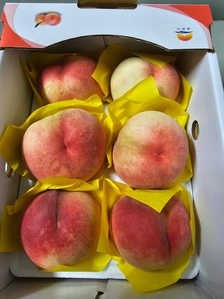 써니네님의 작성글 사진