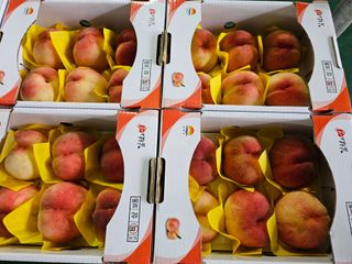 써니네님의 작성글 사진