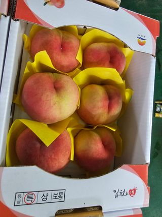 써니네님의 작성글 사진