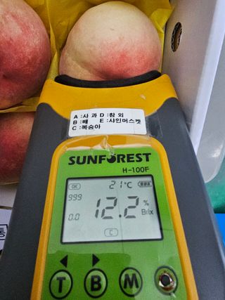 써니네님의 작성글 사진