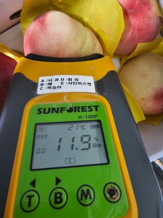 써니네님의 작성글 사진