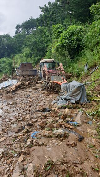 호랑이와인성이님의 자유주제 · 자유게시판 작성글 사진