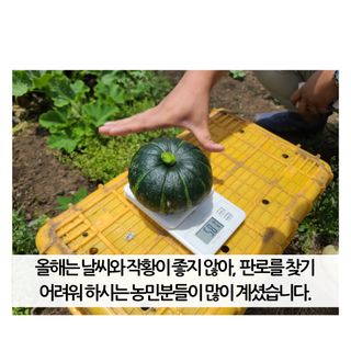 팜모닝 유통님의 팜모닝공식 · 혜택 작성글 사진