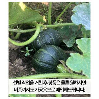 팜모닝 유통님의 팜모닝공식 · 혜택 작성글 사진