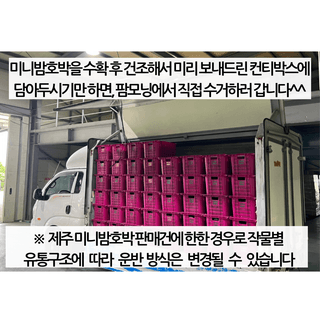 팜모닝 유통님의 팜모닝공식 · 혜택 작성글 사진