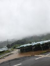 팜모닝 수해 농가 응원 같이해요·참여 게시글 이미지