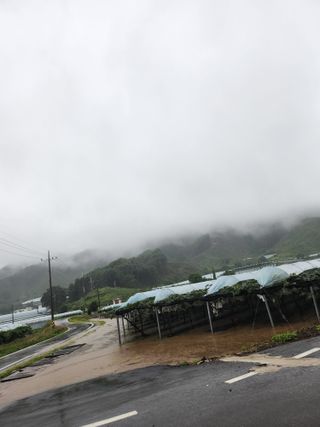 아침햇살님의 수해 농가 응원 같이해요 · 참여 작성글 사진