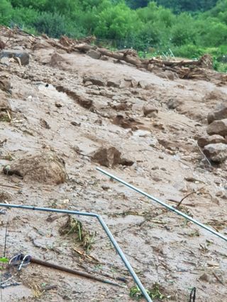 최희경님의 수해 농가 응원 같이해요 · 참여 작성글 사진