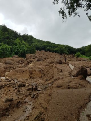 최희경님의 수해 농가 응원 같이해요 · 참여 작성글 사진