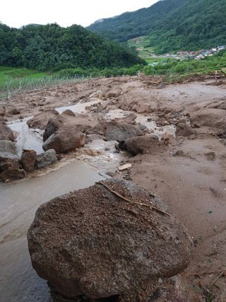 최희경님의 수해 농가 응원 같이해요 · 참여 작성글 사진