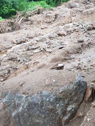 최희경님의 수해 농가 응원 같이해요 · 참여 작성글 사진