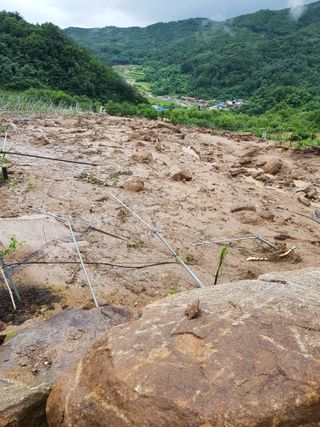 최희경님의 수해 농가 응원 같이해요 · 참여 작성글 사진