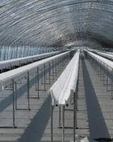 팜모닝 기타작물·병해충상담 게시글 이미지