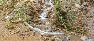 준농원님의 수해 농가 응원 같이해요 · 참여 작성글 사진