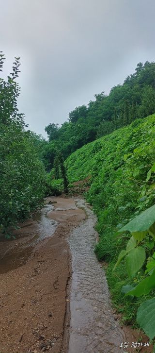 준농원님의 수해 농가 응원 같이해요 · 참여 작성글 사진