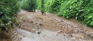 준농원님의 수해 농가 응원 같이해요 · 참여 작성글 사진