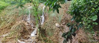 준농원님의 수해 농가 응원 같이해요 · 참여 작성글 사진