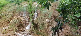 준농원님의 수해 농가 응원 같이해요 · 참여 작성글 사진