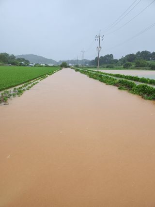 김종만님의 수해 농가 응원 같이해요 · 참여 작성글 사진
