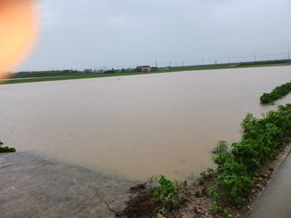 김종만님의 수해 농가 응원 같이해요 · 참여 작성글 사진