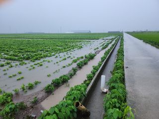 김종만님의 수해 농가 응원 같이해요 · 참여 작성글 사진