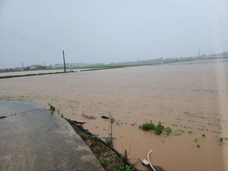 김종만님의 수해 농가 응원 같이해요 · 참여 작성글 사진