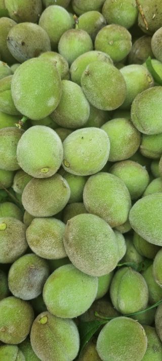 대삼팜스빌리지님의 우리동네 · 동네수다 작성글 사진