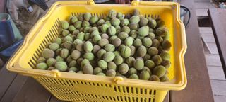 대삼팜스빌리지님의 우리동네 · 동네수다 작성글 사진