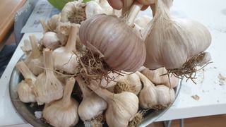 농부아내님의 작성글 사진