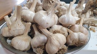 농부아내님의 작성글 사진