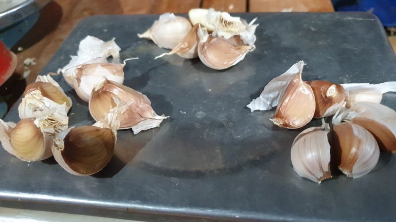 농부아내님의 장터 판매 상품 [홍산마늘 종자용 상 크기 1접] 첨부 사진