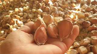 농부아내님의 작성글 사진