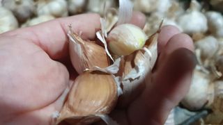 농부아내님의 작성글 사진