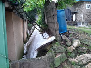 강성민님의 사과 · 영농일지 작성글 사진