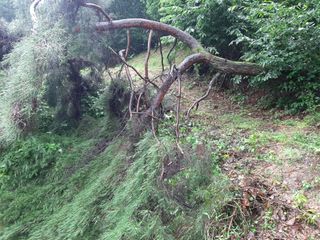 강성민님의 사과 · 영농일지 작성글 사진