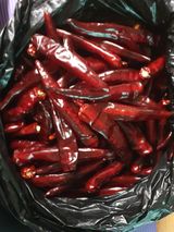 팜모닝 고추·수확 게시글 이미지