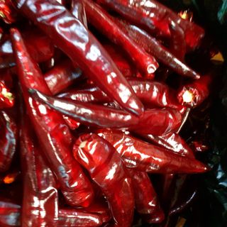 재순님의 고추 · 수확 작성글 사진