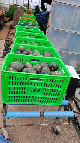 김화석님의 작성글 사진