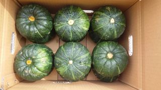 김화석님의 작성글 사진