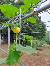 팜모닝 자유주제·자유게시판 게시글 이미지