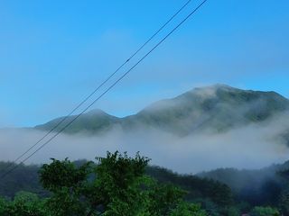 숲속의사나이님의 자유주제 · 자유게시판 작성글 사진