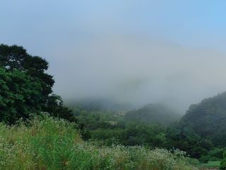 숲속의사나이님의 자유주제 · 자유게시판 작성글 사진