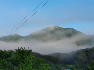 숲속의사나이님의 자유주제 · 자유게시판 작성글 사진