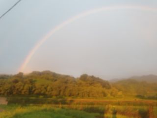 허굴산농장님의 자유주제 · 자유게시판 작성글 사진