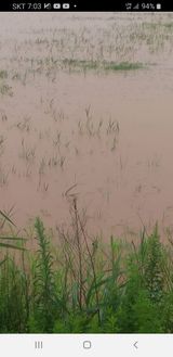 팜모닝 수해 농가 응원 같이해요·참여 게시글 이미지