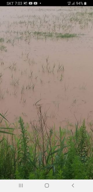 초원농원님의 수해 농가 응원 같이해요 · 참여 작성글 사진