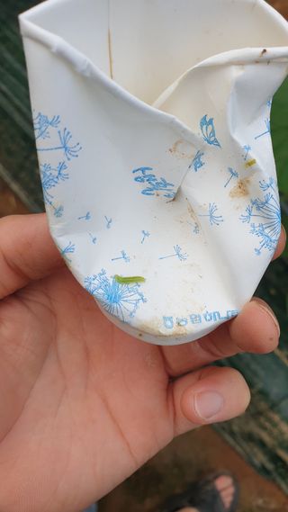 김준회님의 자유주제 · 자유게시판 작성글 사진