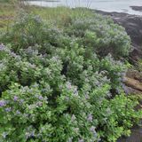 팜모닝 우리동네·동네정보 게시글 이미지