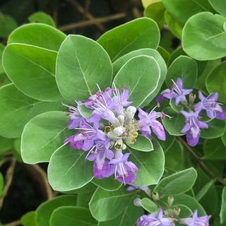 박상춘님의 우리동네 · 동네정보 작성글 사진